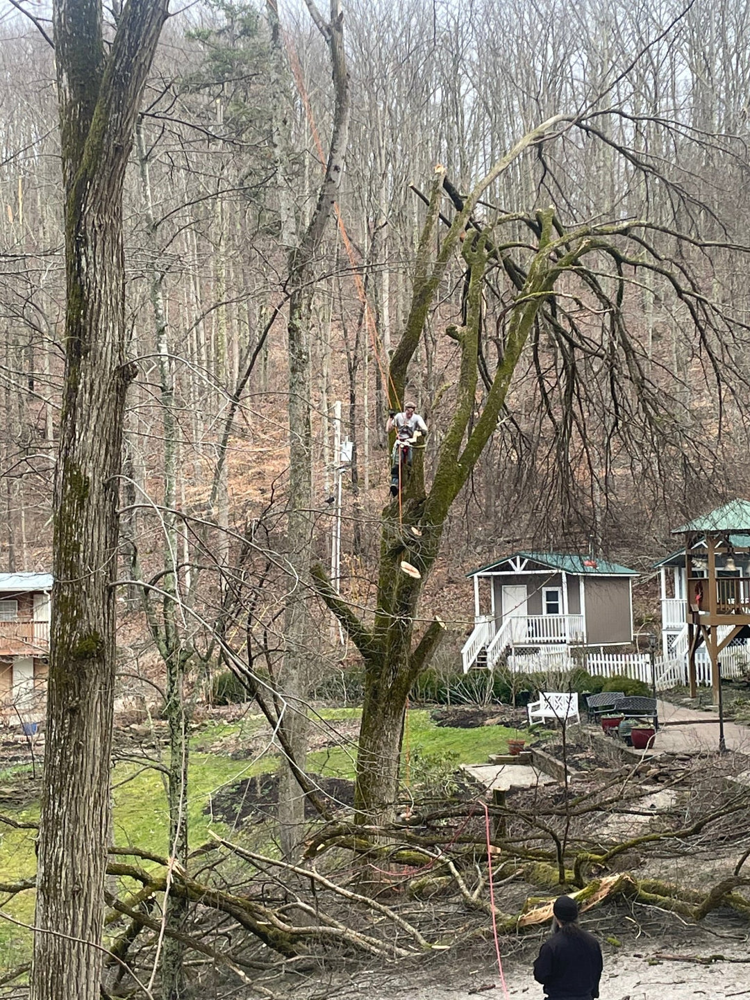 Ice Storm Update 3/1/21