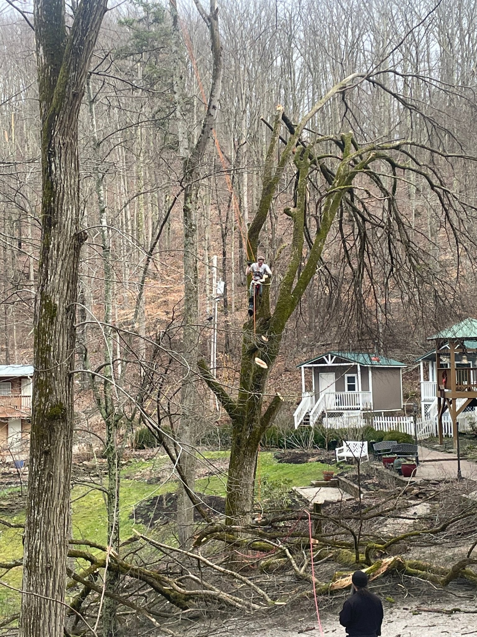 Ice Storm Update 3/1/21 - Holy Cross Monastery