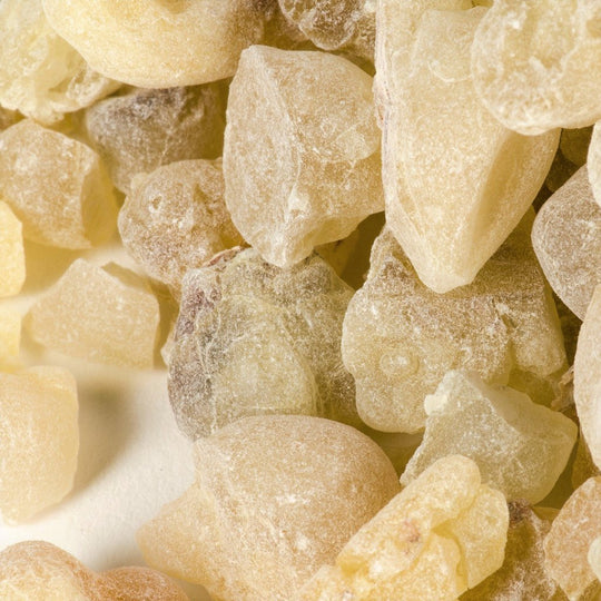 Superior Hojari Frankincense (Boswellia Sacra) - Holy Cross Monastery