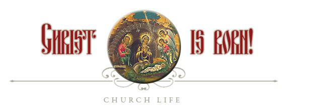 Metropolitan Hilarion's Nativity Epistle (2019) - Holy Cross Monastery