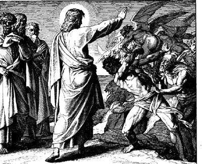 Sermon for the 5th Sunday after Pentecost 2017