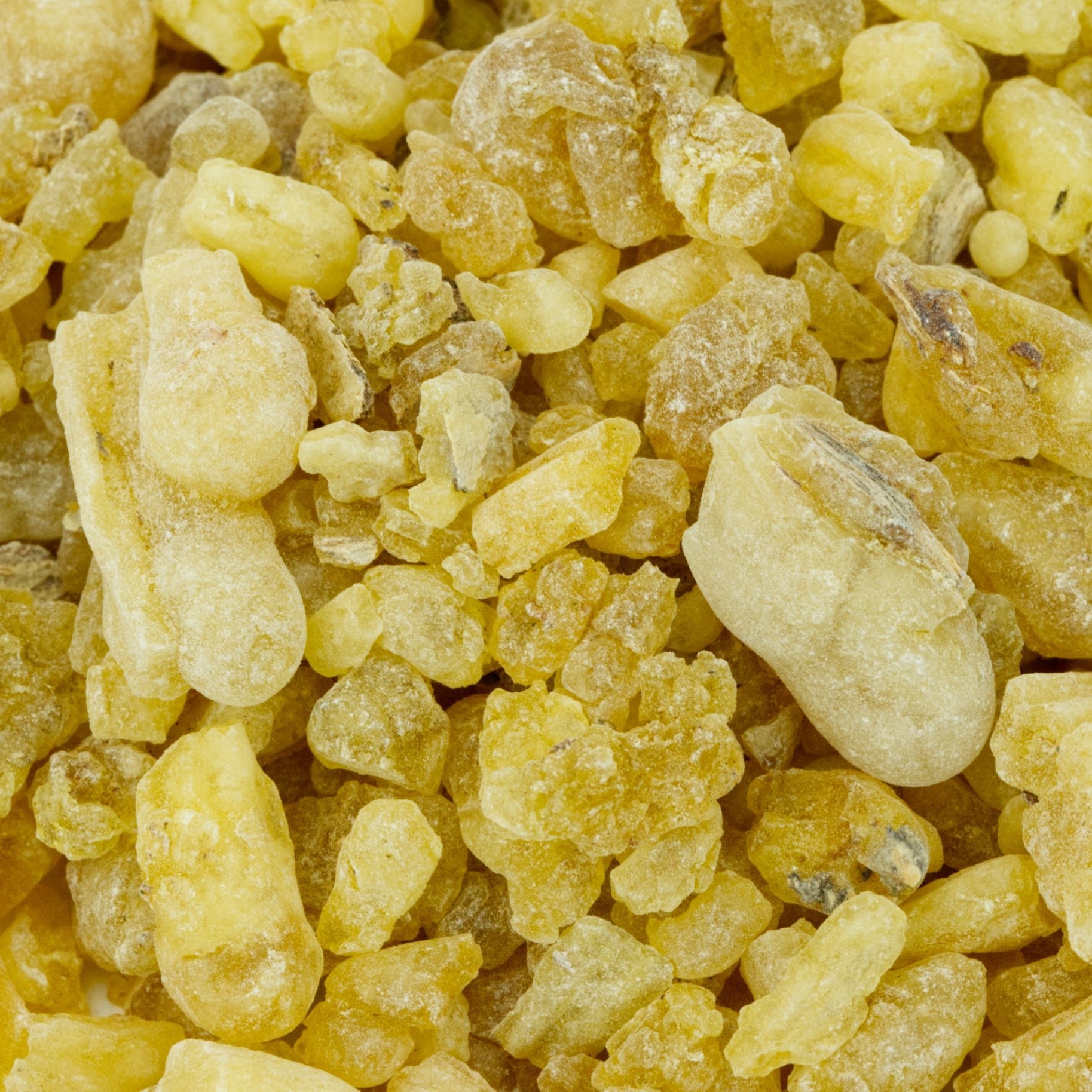 Nigerian Frankincense - First Choice (Boswellia Papyrifera) - Holy Cross Monastery