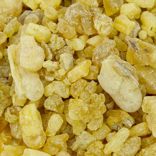 Nigerian Frankincense - First Choice (Boswellia Papyrifera) - Holy Cross Monastery