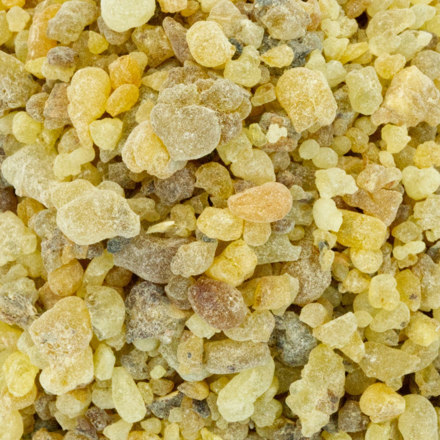 Somalian Frankincense - Pea Size (Boswellia Carterii) - Holy Cross Monastery