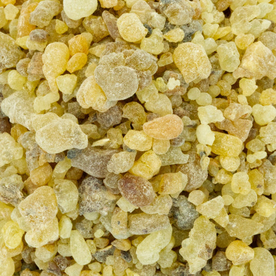 Somalian Frankincense - Pea Size (Boswellia Carterii) - Holy Cross Monastery