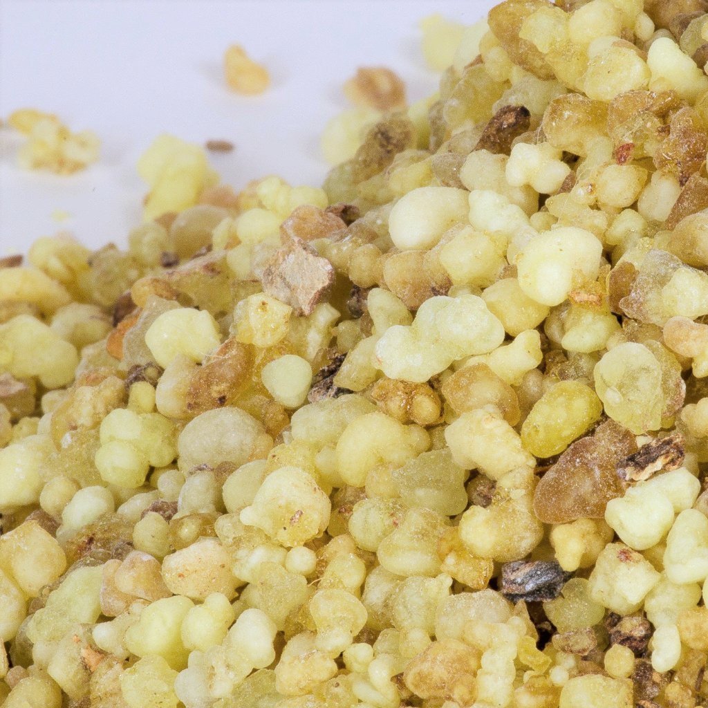 Ethiopian Frankincense (Boswellia Papyrifera) - Holy Cross Monastery