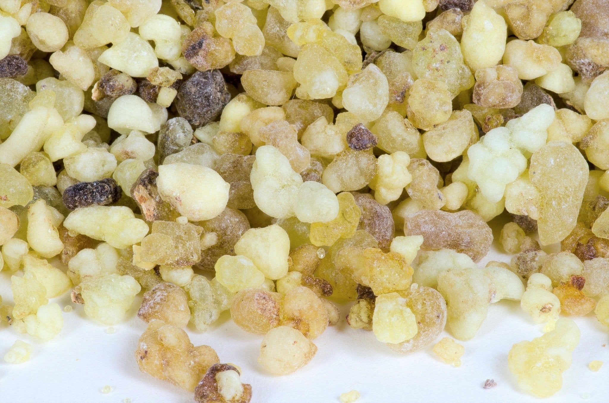 Ethiopian Frankincense (Boswellia Papyrifera) - Holy Cross Monastery