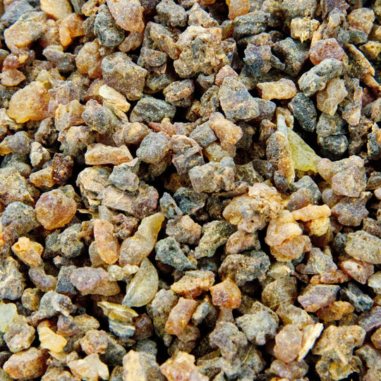 Pea Size Myrrh (Myrrha Commiphora) - Holy Cross Monastery