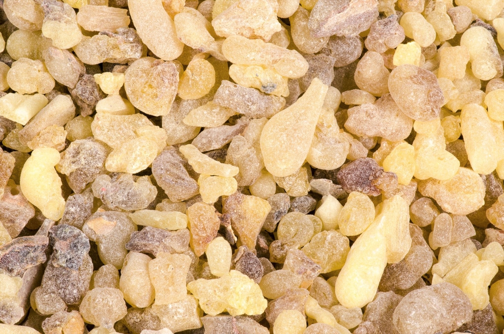 Somalian Frankincense - First Choice (Boswellia Carterii) - Holy Cross Monastery