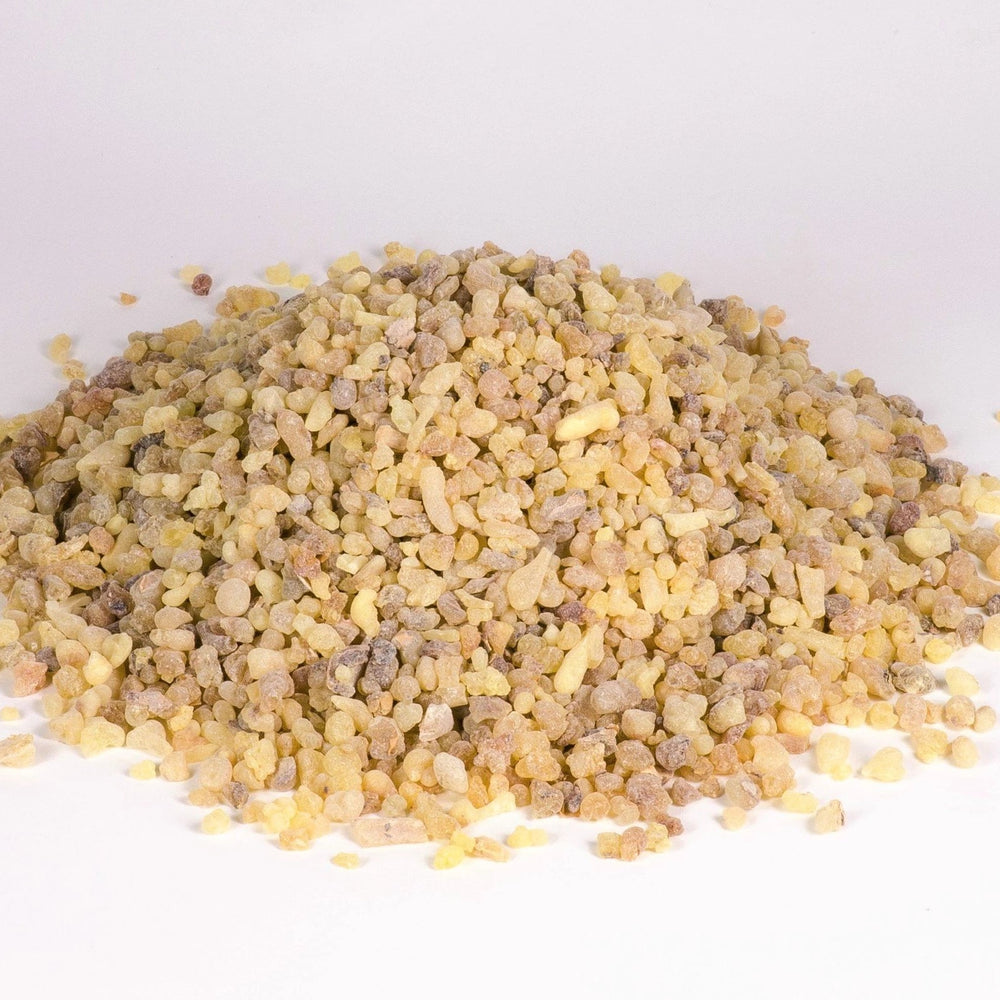 Somalian Frankincense - First Choice (Boswellia Carterii) - Holy Cross Monastery